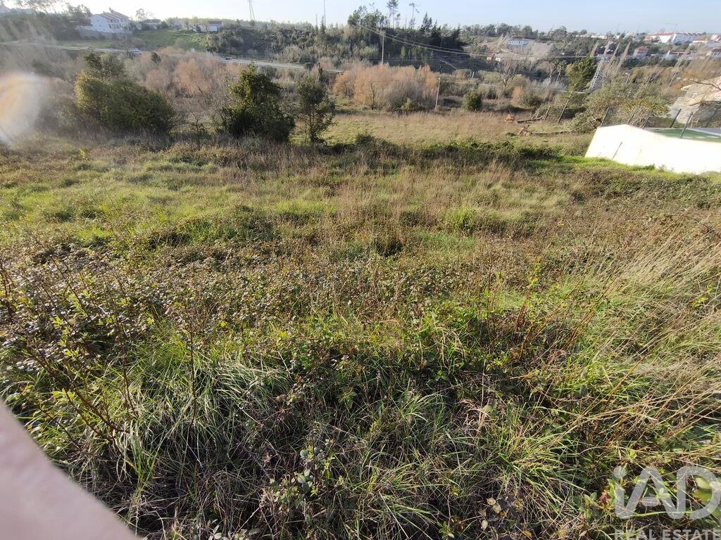 Land in Batalha - Image 3