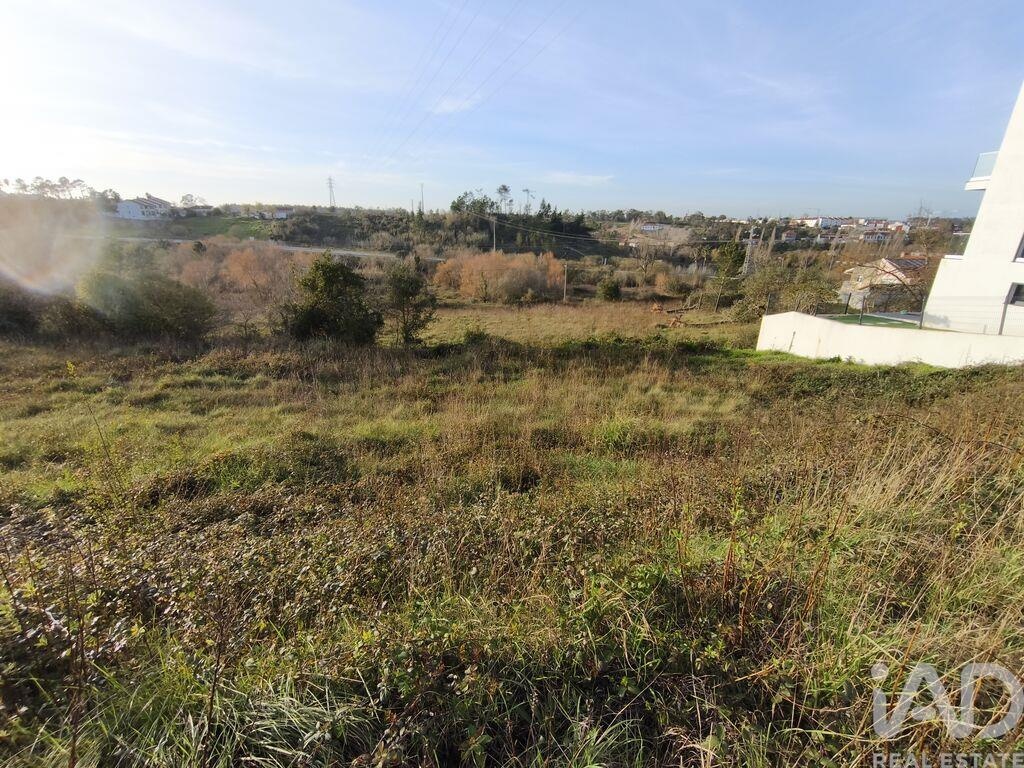 Land in Batalha - Image 5