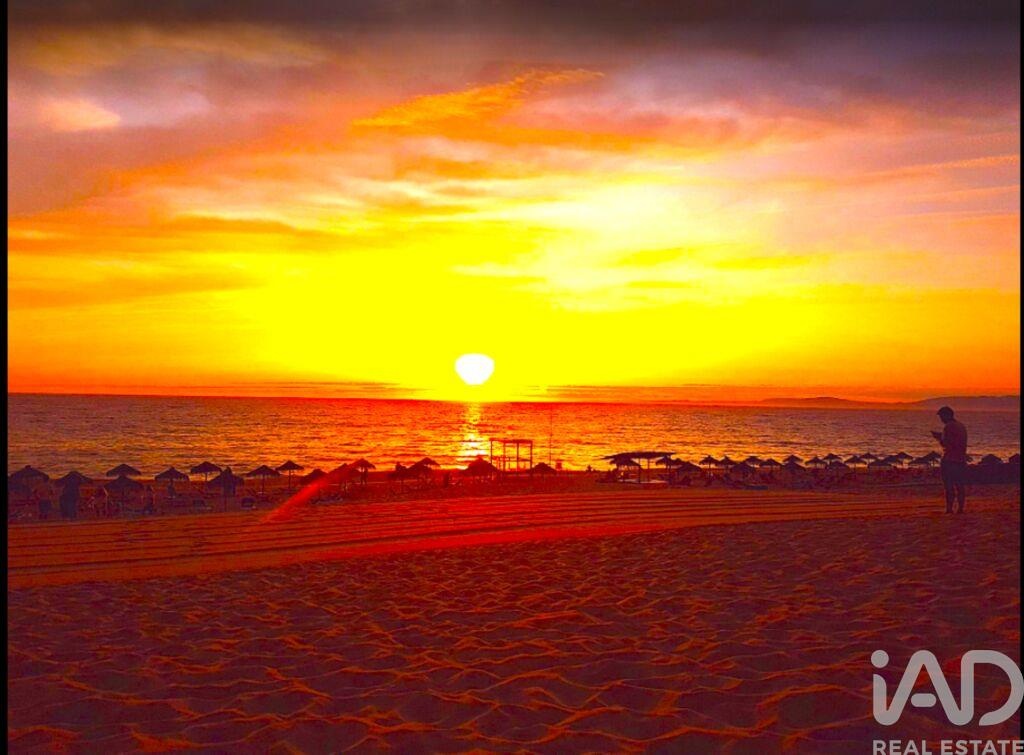 Land in Comporta - view 1