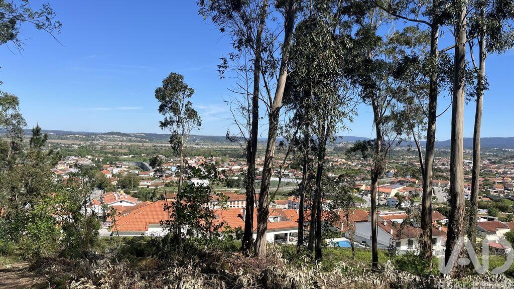 Land in Sao Martinho do Bispo - Image 2