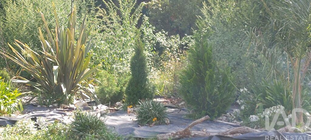Land in Alpedriz - Image 3