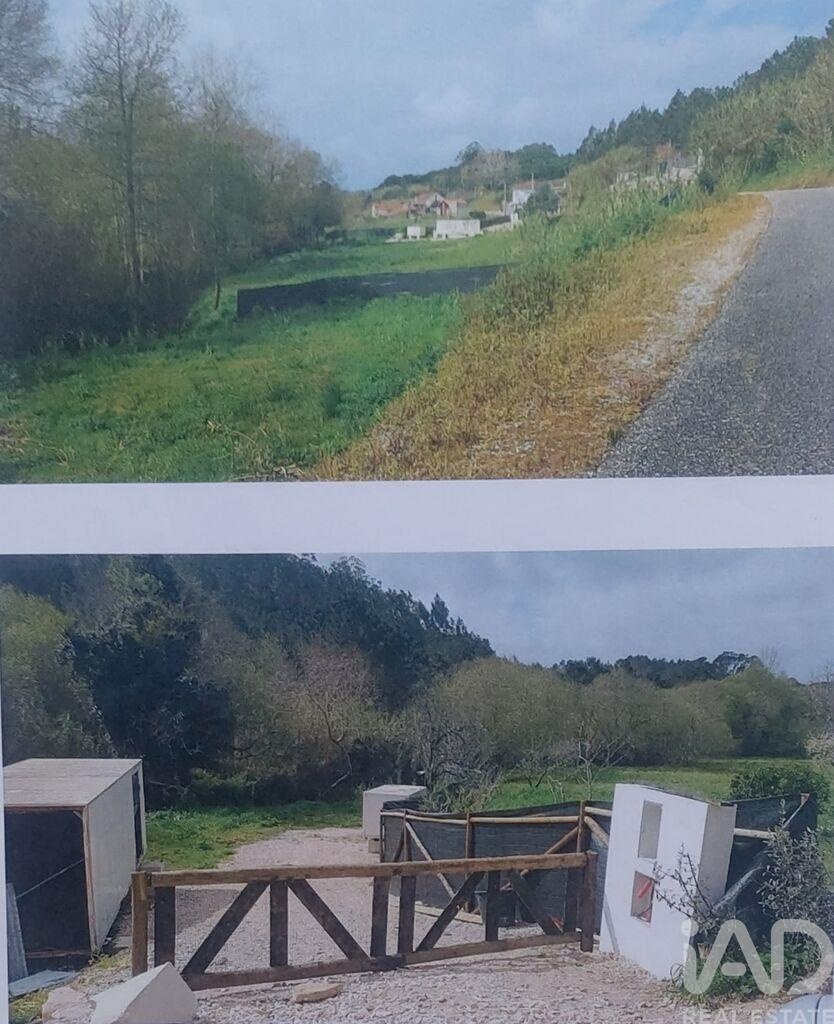 Land in Alpedriz - Image 4