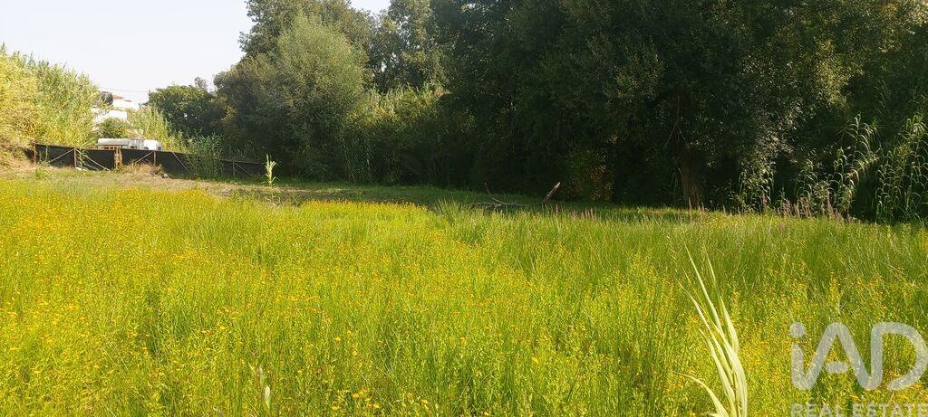Land in Alpedriz - view 1