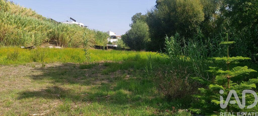 Land in Alpedriz - Image 5