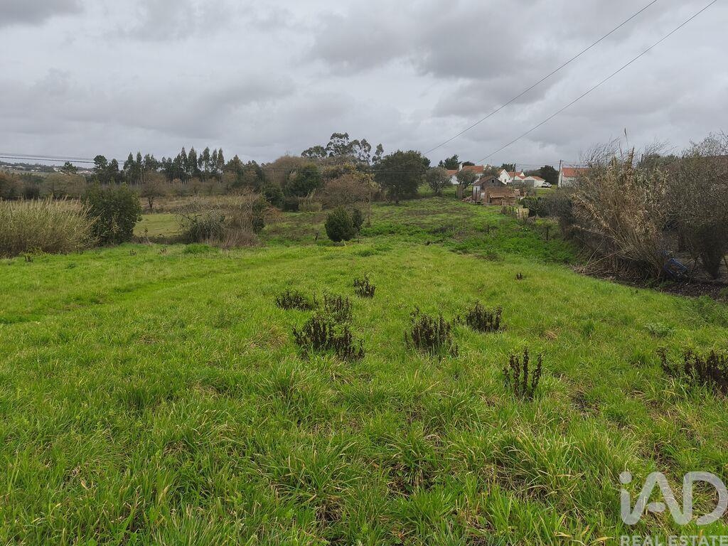 Land in Cela - view 1