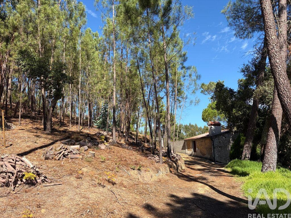 Land in Ventosa - Image 2