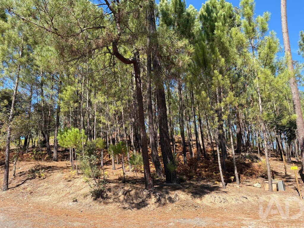 Land in Ventosa - view 1