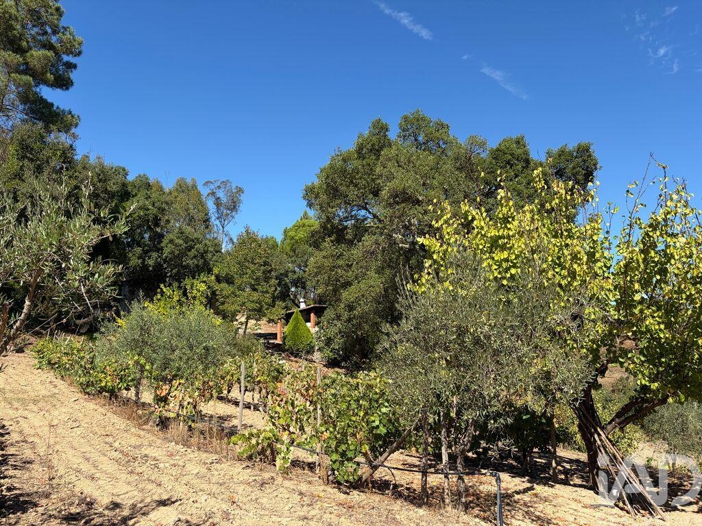 Land in Ventosa - Image 5