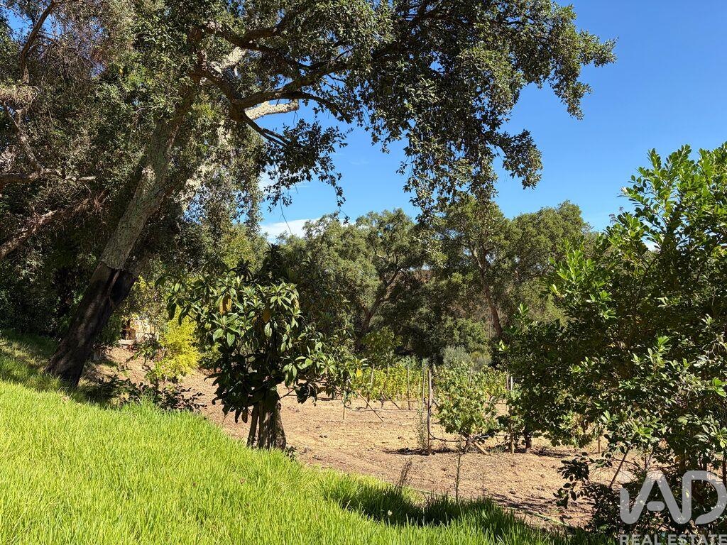 Land in Ventosa - Image 3