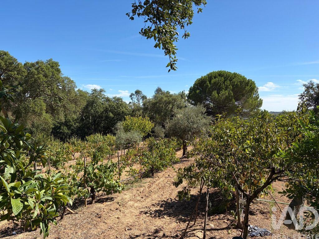 Land in Ventosa - Image 4