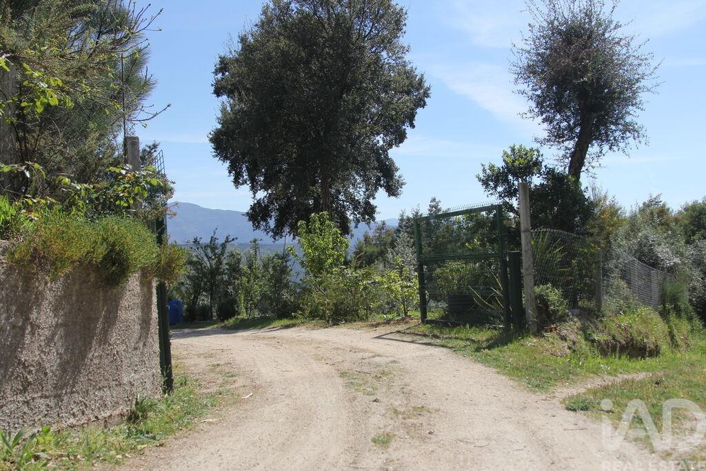 Land in Sao Paio de Gramacos - Image 5