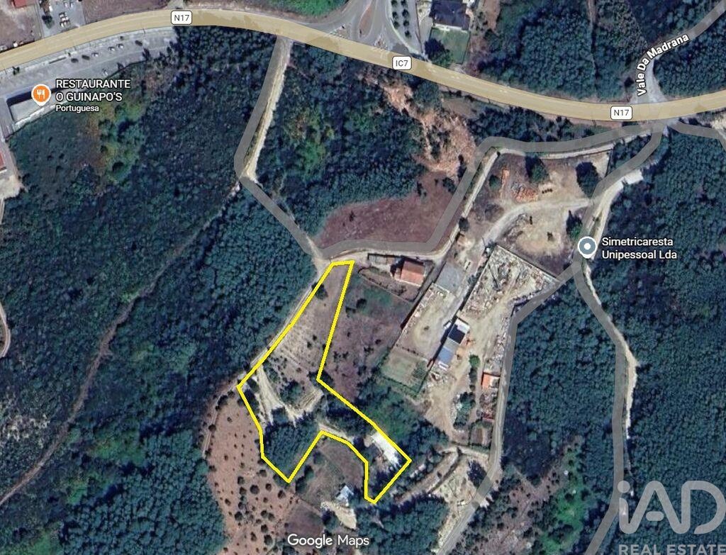 Land in Sao Paio de Gramacos - Image 2