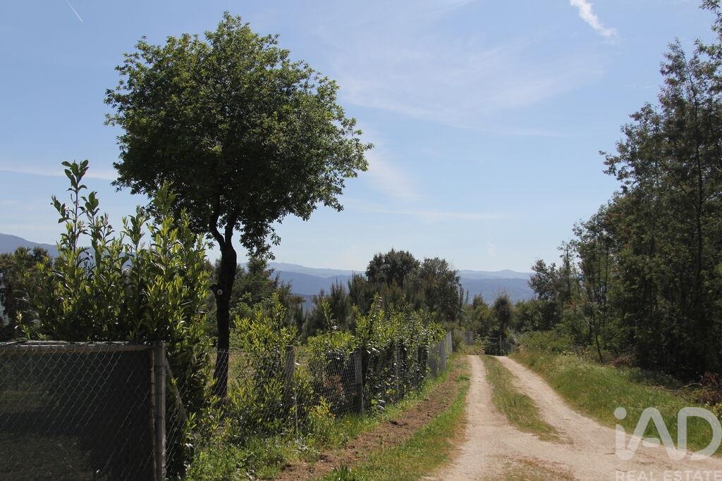 Land in Sao Paio de Gramacos - Image 4