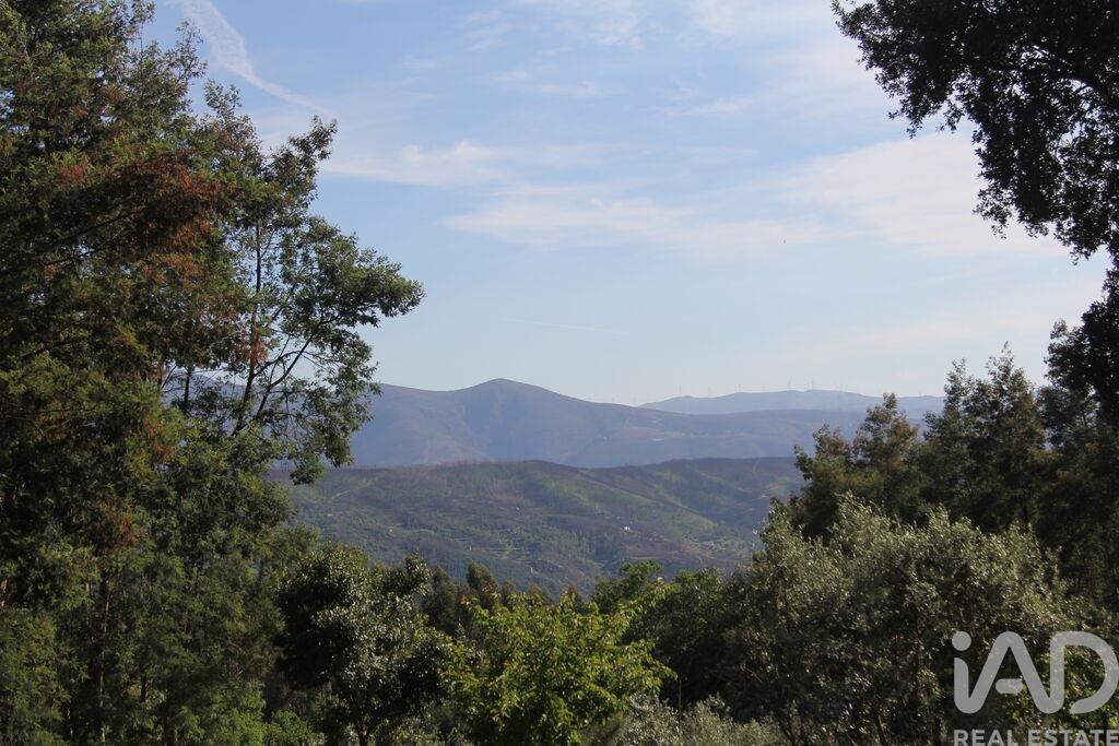 Land in Sao Paio de Gramacos - view 1