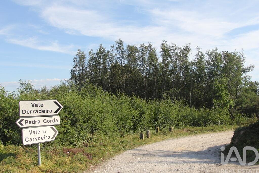 Land in Sao Paio de Gramacos - Image 3