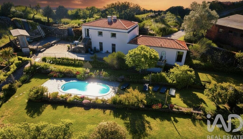 House in Sao Vicente de Lafoes - view 1