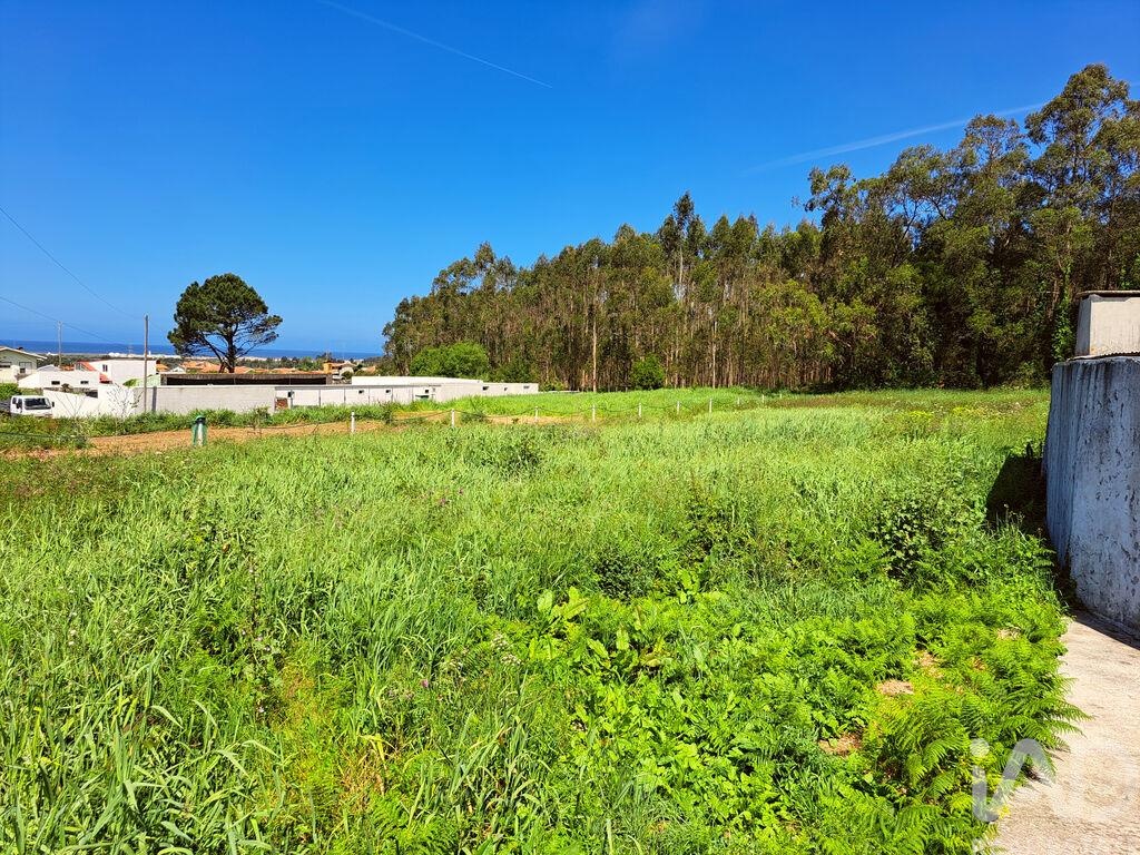 Land in Esmoriz - Image 2