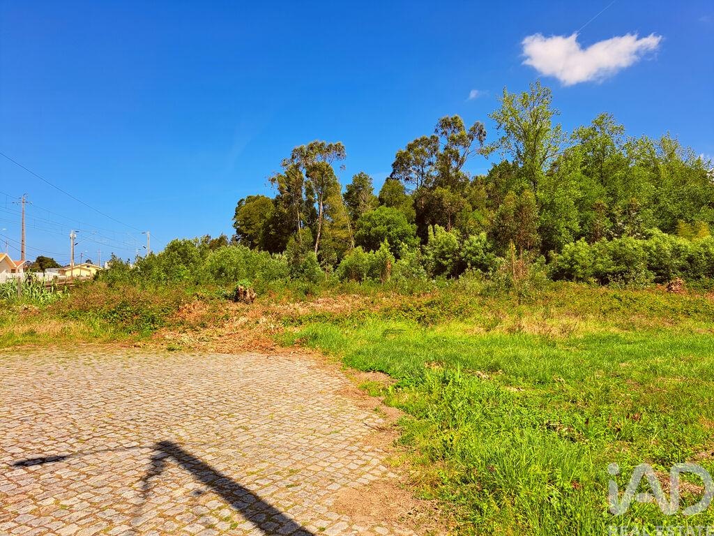 Land in Cortegaca - Image 2