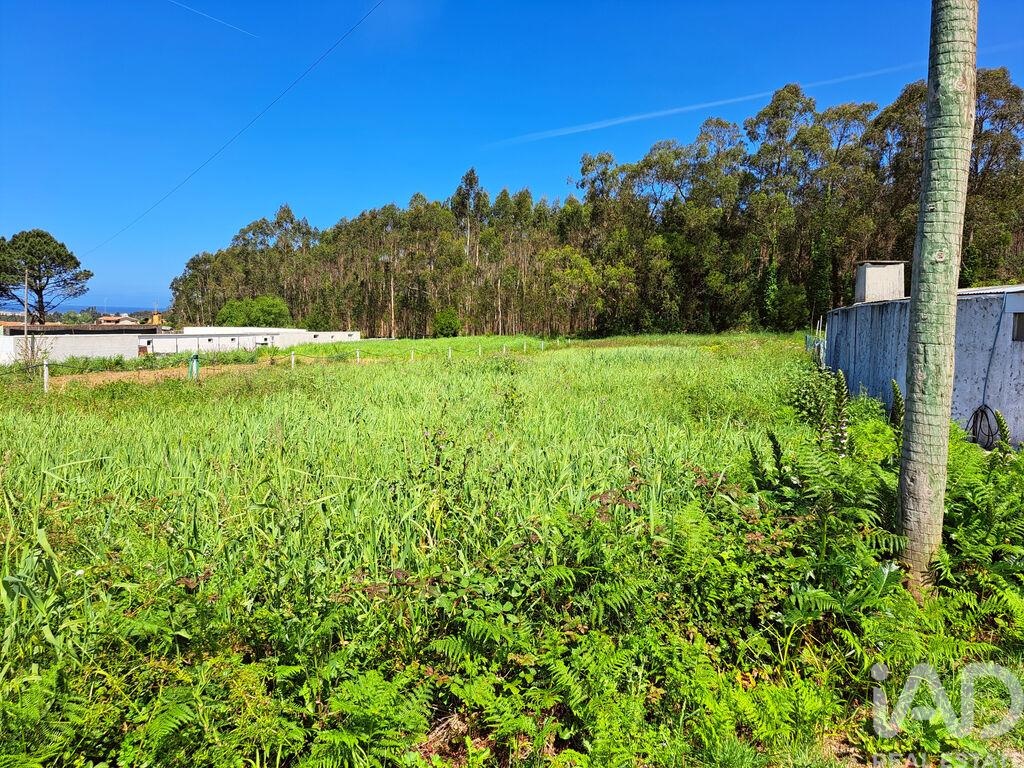 Land in Esmoriz - view 1