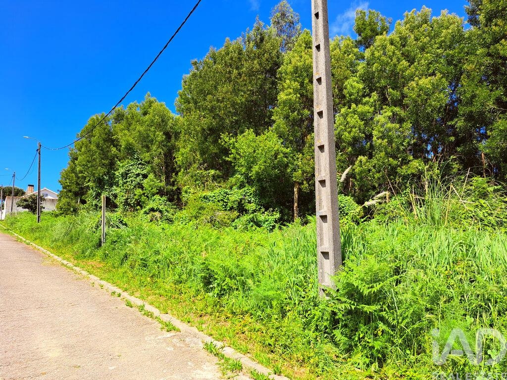 Land in Esmoriz - Image 3