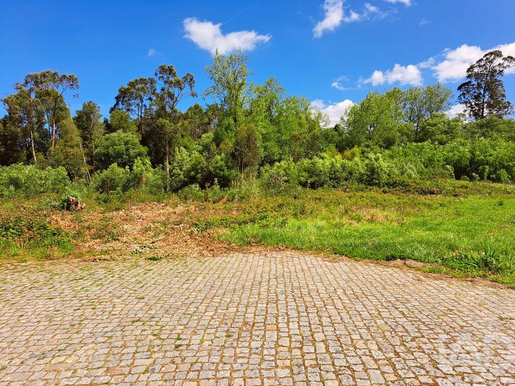 Land in Cortegaca - Image 3