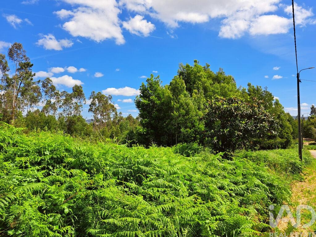 Land in Esmoriz - Image 2