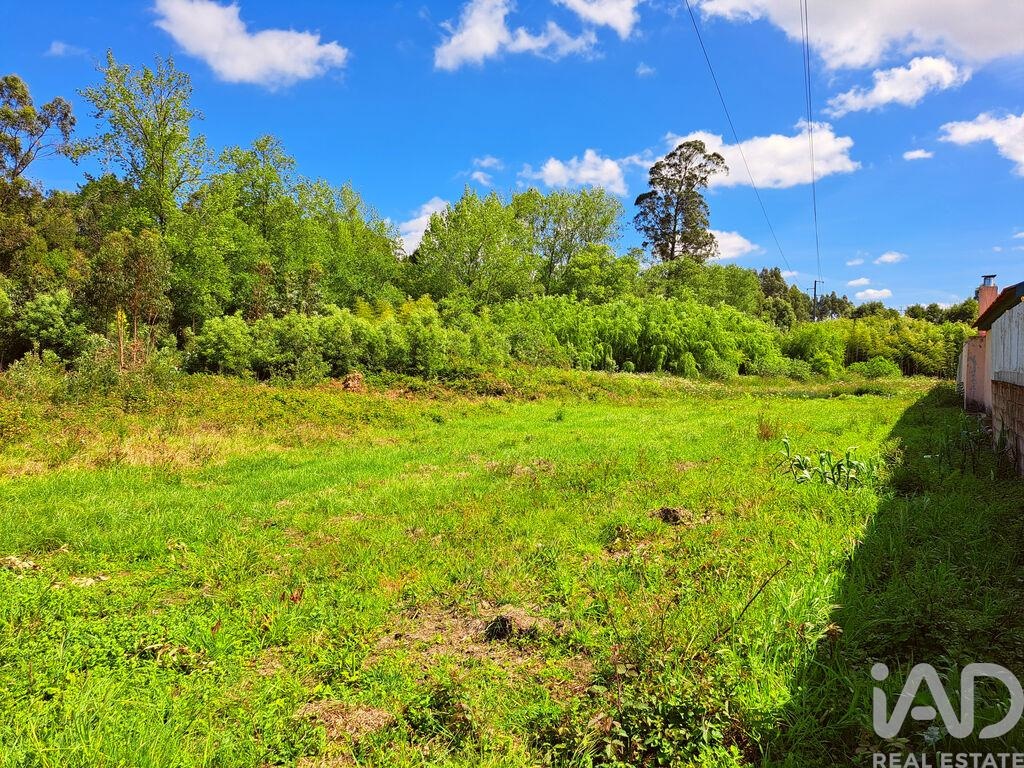 Land in Cortegaca - view 1