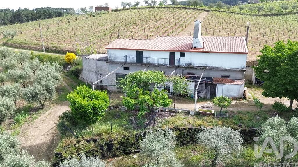 Land in Castedo - view 1