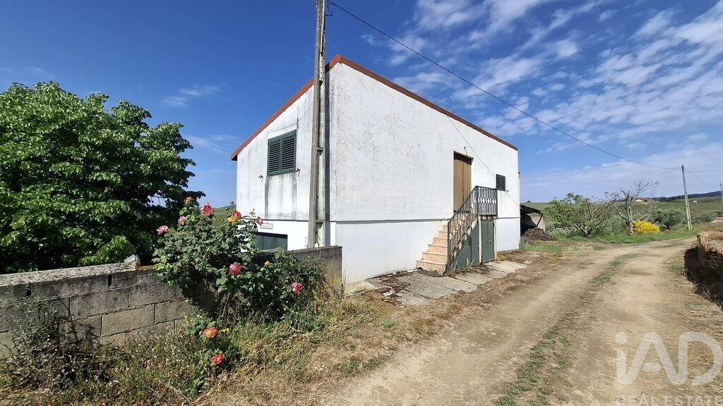 Land in Castedo - Image 4