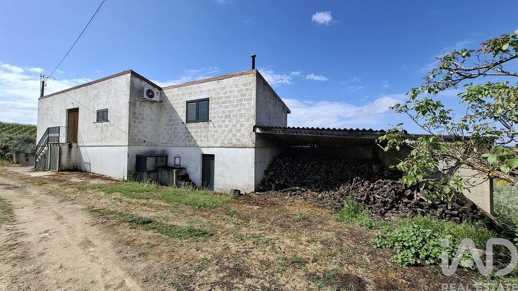 Land in Castedo - Image 5