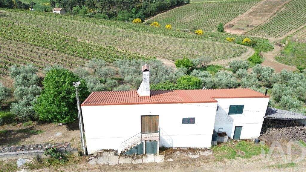 Land in Castedo - Image 2