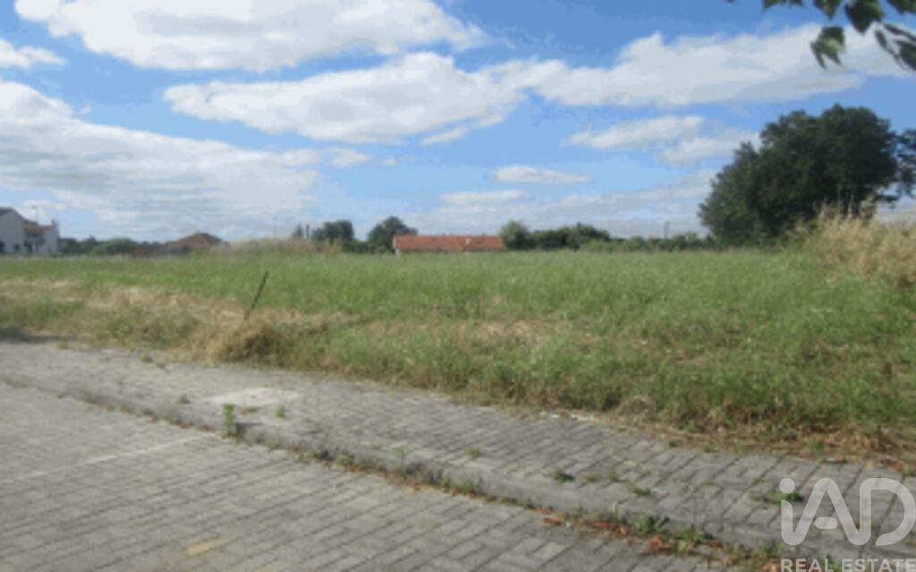 Land in Taveiro - Image 4