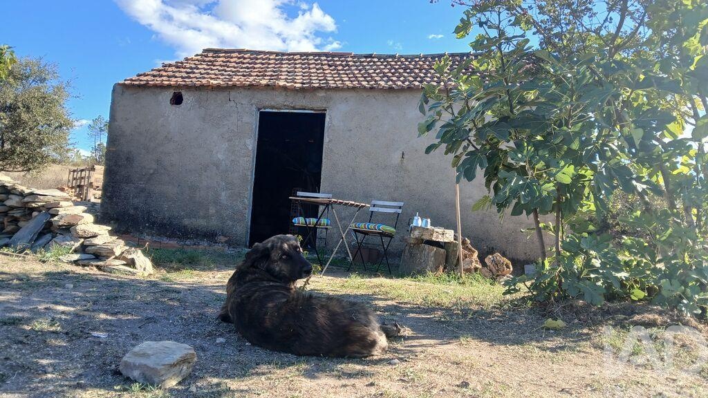 Land in Sarzedas - view 1