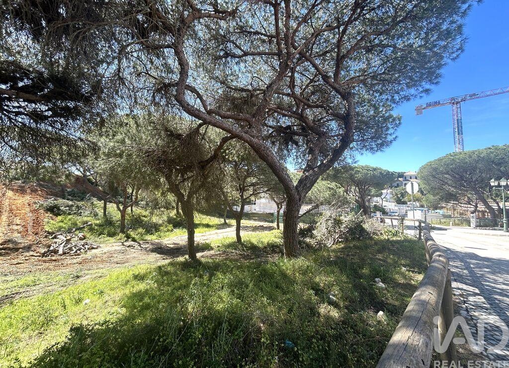 Land in Almancil - Image 2