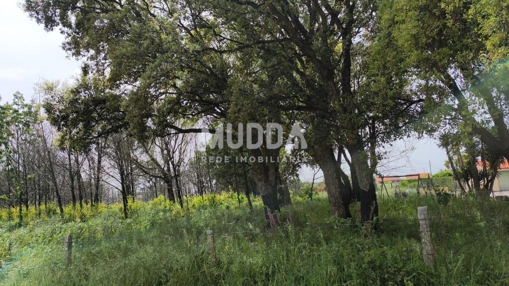 Terreno | Albergaria-a-Velha