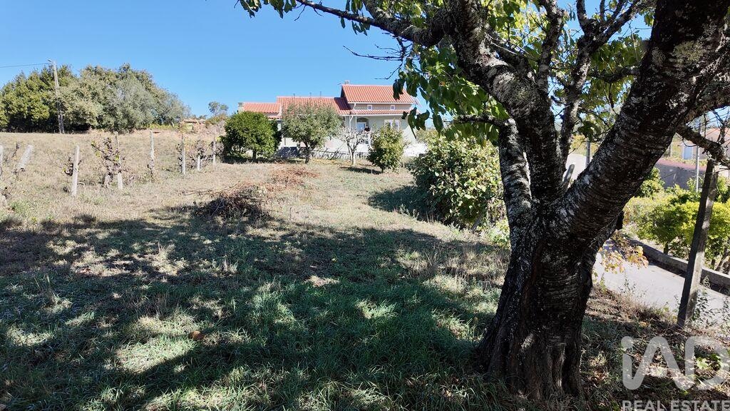House in Figueiro Dos Vinhos - view 1