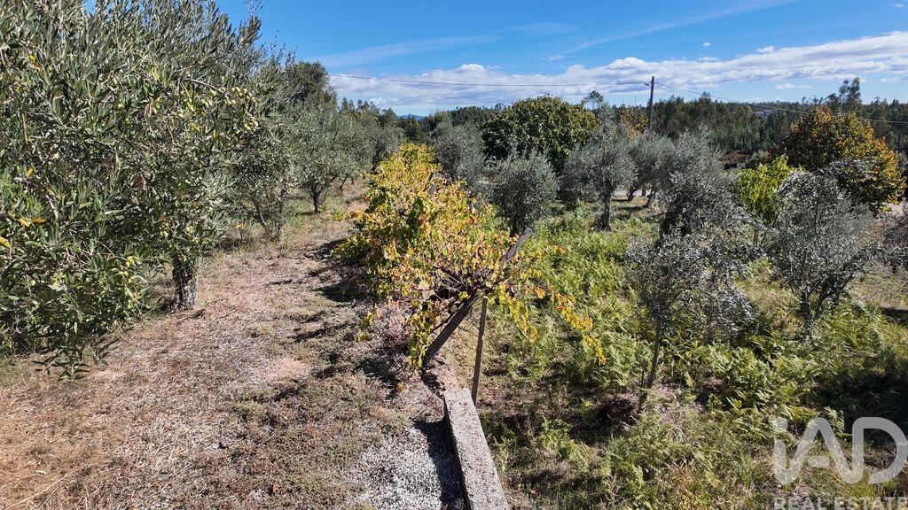 Land in Graca - Image 3
