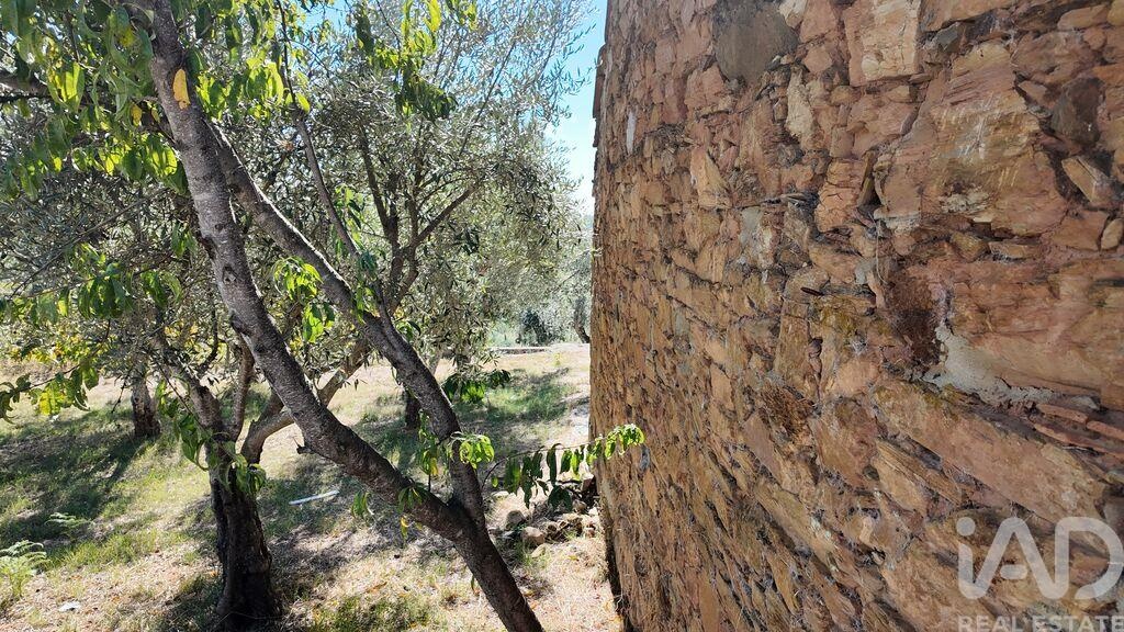 Land in Graca - view 1
