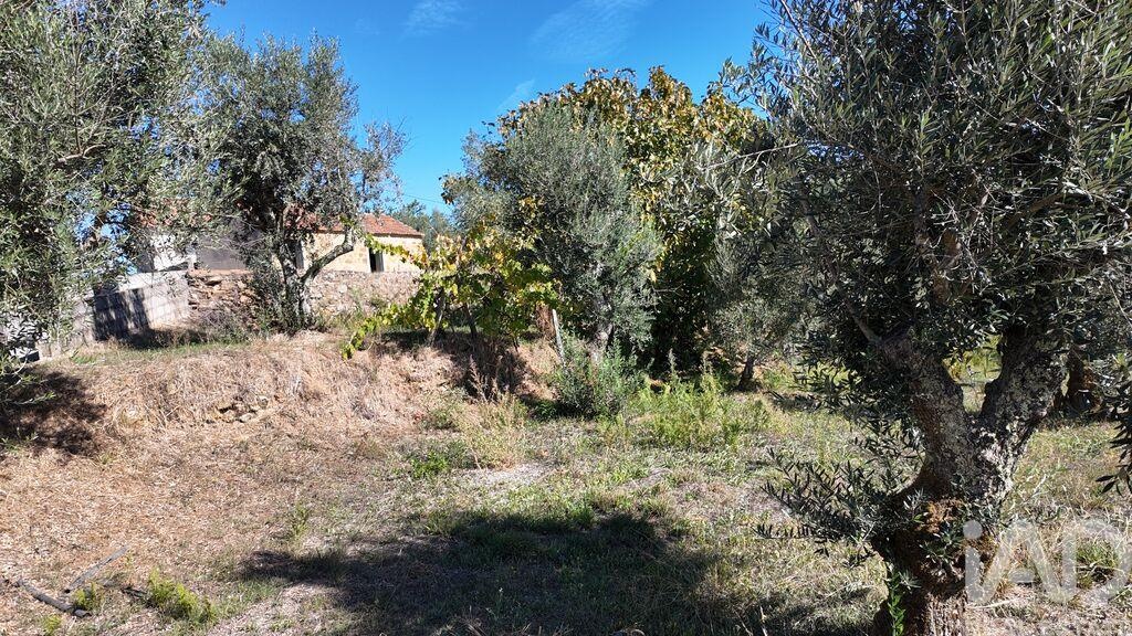 Land in Graca - Image 4