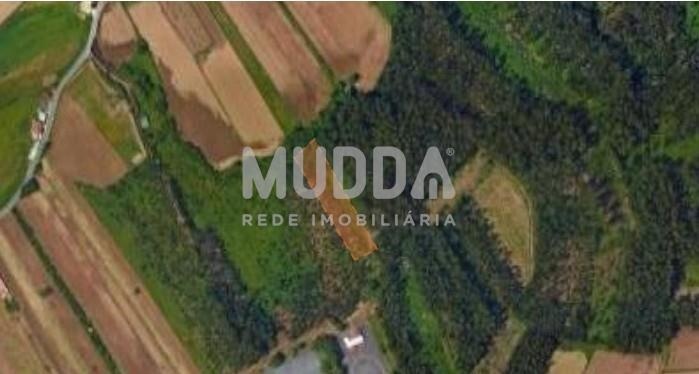 Terreno de Pinhal  em Válega