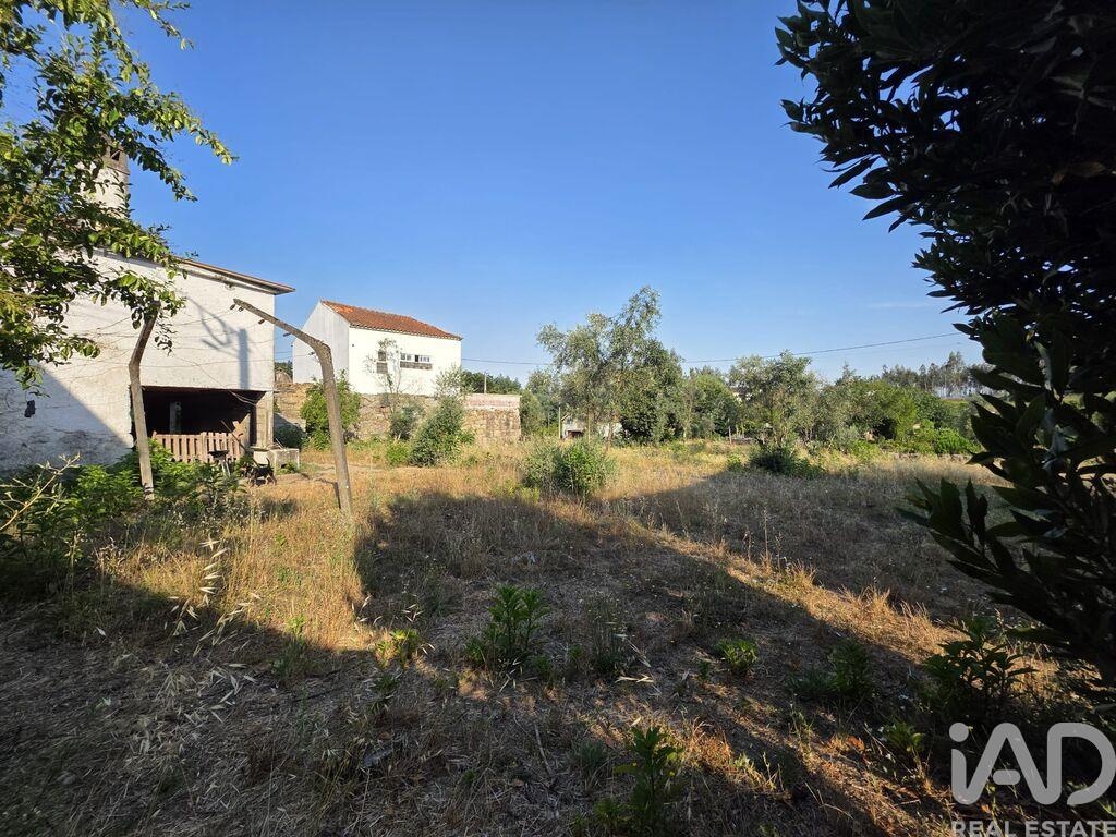 House in Couto do Mosteiro - Image 3
