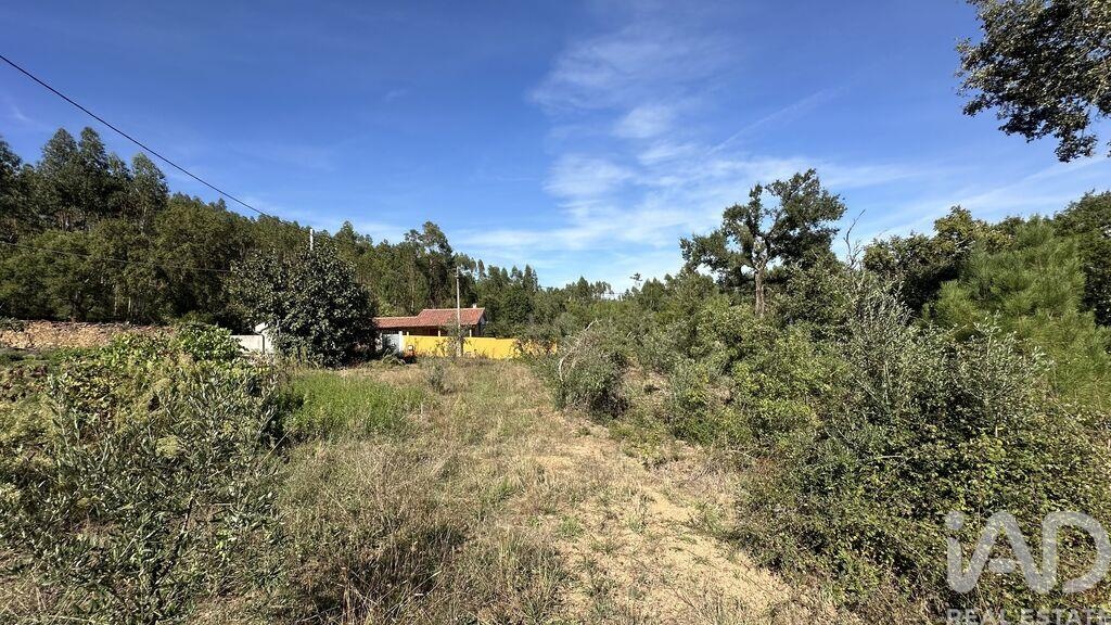 Land in Graca - view 1