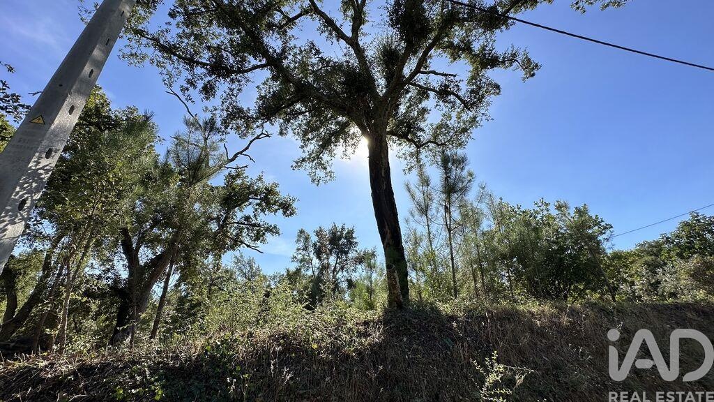 Land in Graca - Image 3