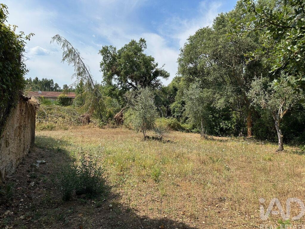 House in Graca - Image 3