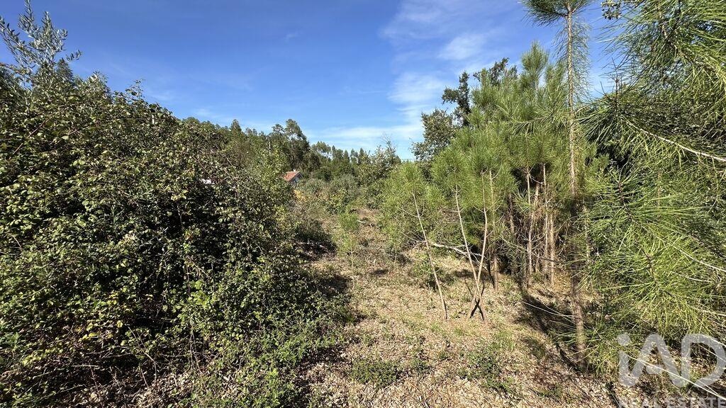 Land in Graca - Image 2