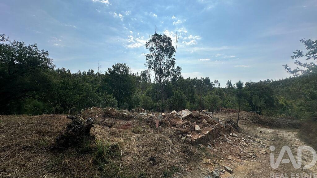 Land in Graca - view 1