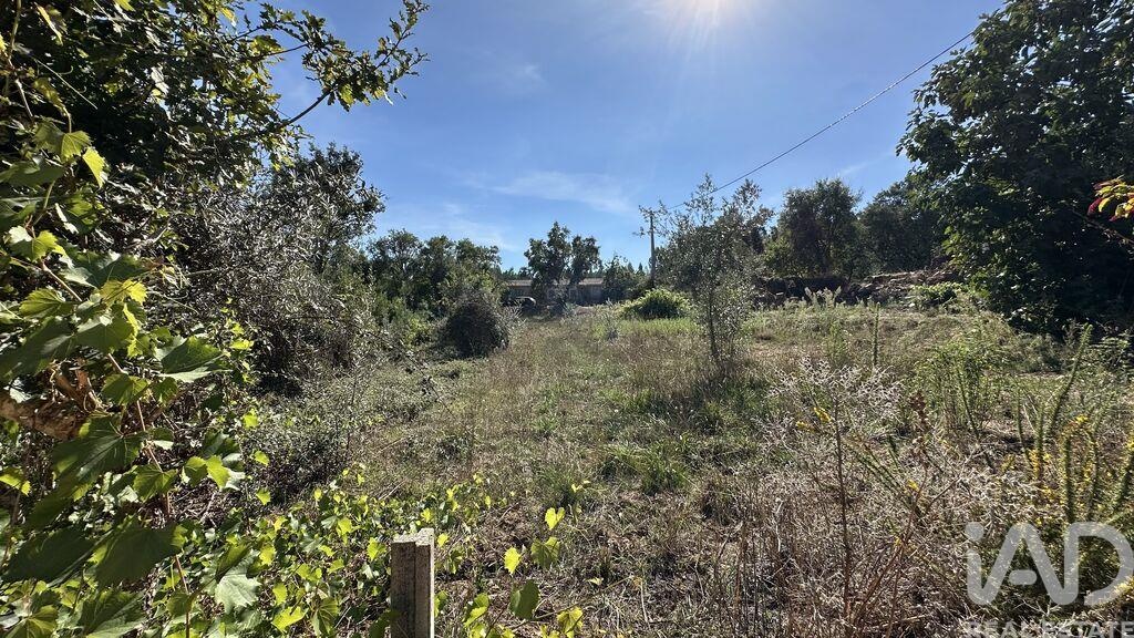 Land in Graca - Image 5