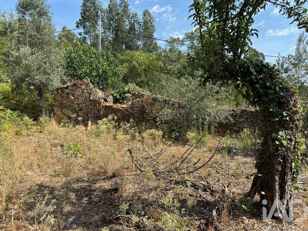 House in Graca - Image 4
