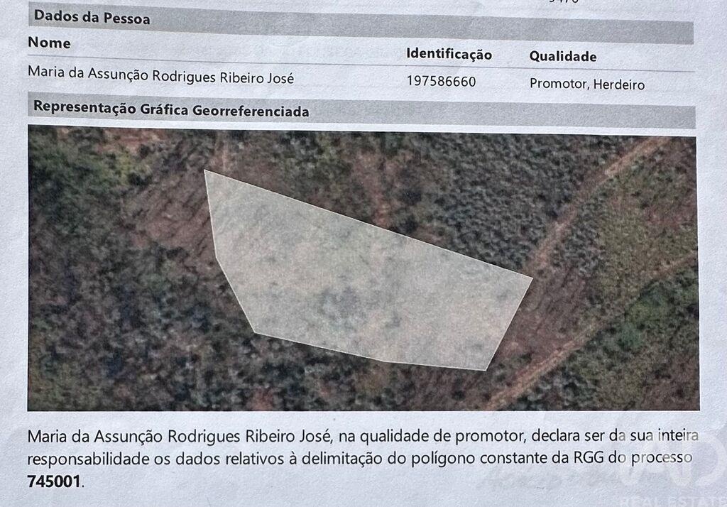 Land in Graca - Image 5