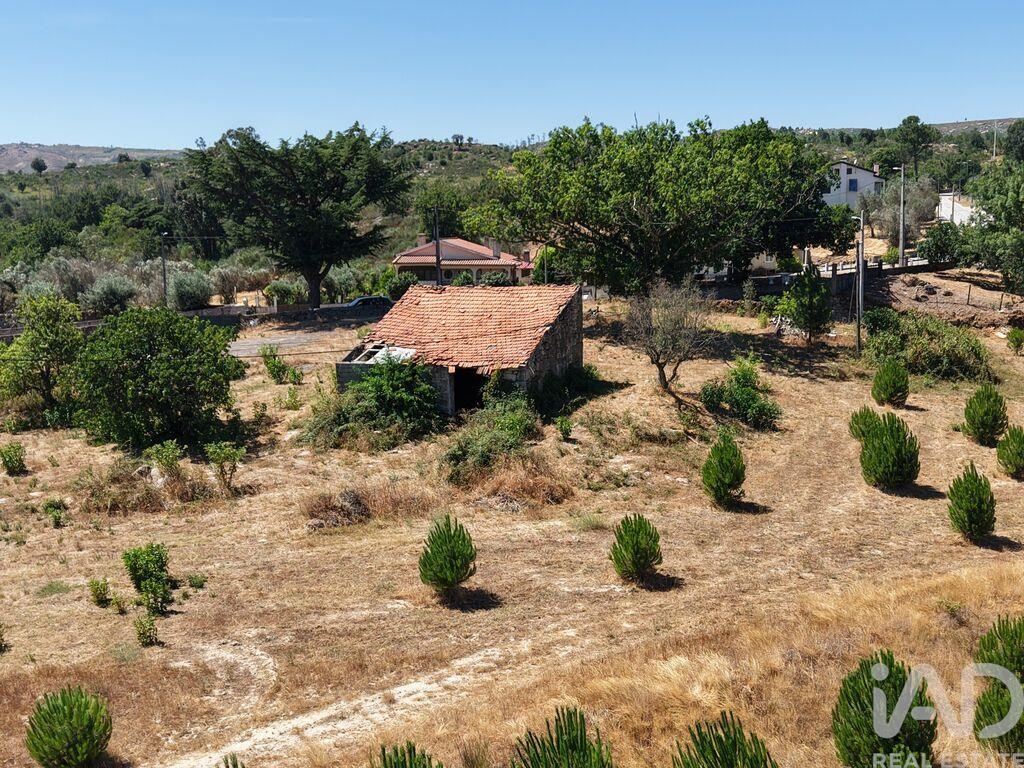 Land in Abrunhosa-a-Velha - Image 2